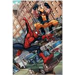 Marvel Artwork on Sale Marvel Artwork on Sale Astonishing Spider-Man and Wolverine #1