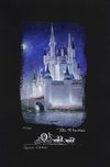 Cinderella Art Cinderella Art Cinderella Castle (Chiarograph)