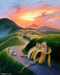 Jim Warren Jim Warren Long And Winding Road