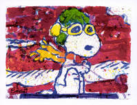 Tom Everhart Prints Tom Everhart Prints Low Fat Meal Over Santa Monica