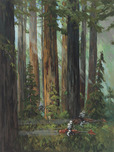 Star Wars Artwork Star Wars Artwork Forest Pursuits