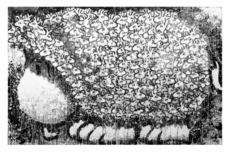 Tom Everhart Prints Tom Everhart Prints Does This Make Me Look Fat (JE)