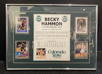 Sports Memorabilia & Collectibles Sports Memorabilia & Collectibles Becky Hammon Colorado State University Stats Sheet and Collectors Cards (Framed)