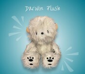 Fabio Napoleoni Fabio Napoleoni Darwin Plush