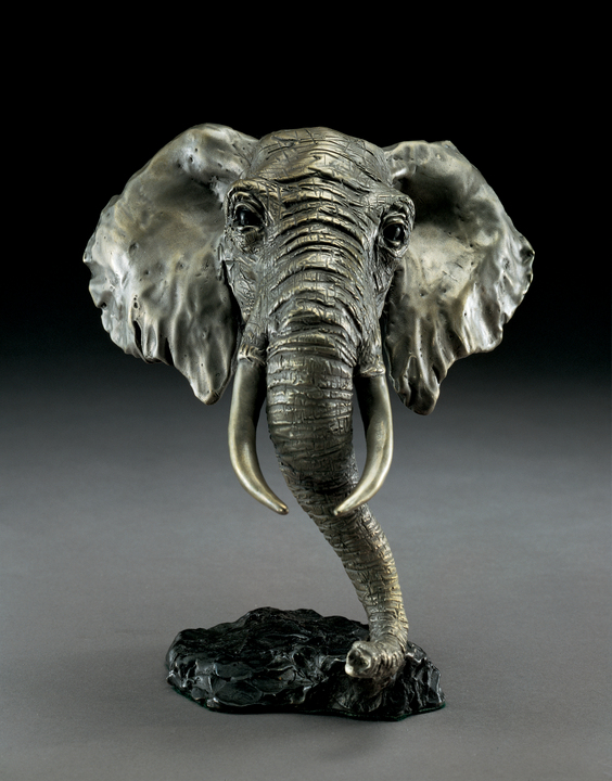 Mark Hopkins African Elephant