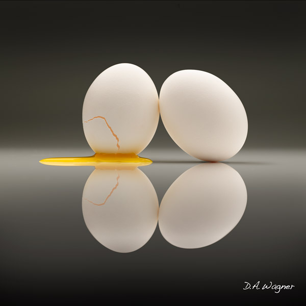 David Wagner Cracked Egg