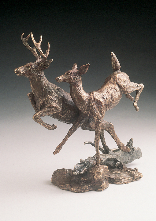 Mark Hopkins Deer