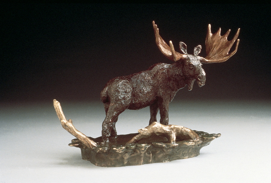 Mark Hopkins Moose