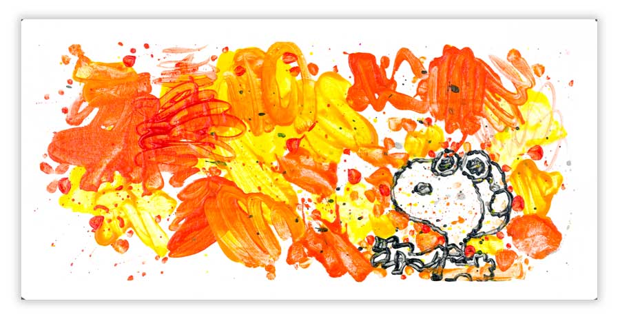 Tom Everhart Partly Cloudy 7:30 Morning Fly