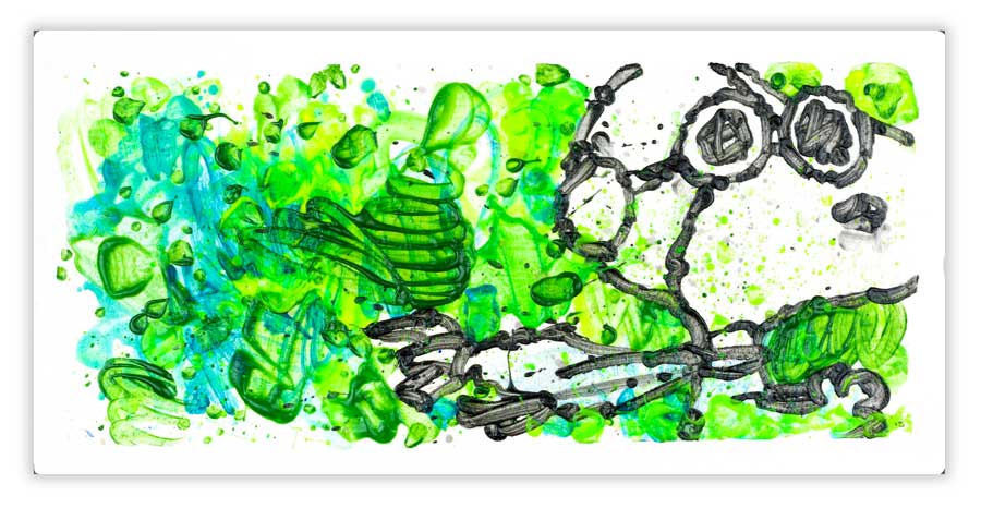 Tom Everhart Partly Cloudy 7:45 Morning Fly