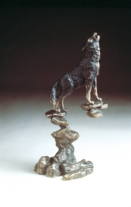 Mark Hopkins Wolf