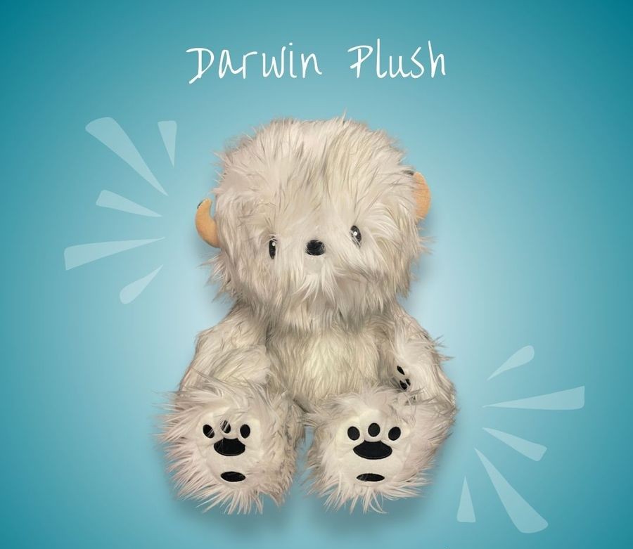 Fabio Napoleoni Darwin Plush