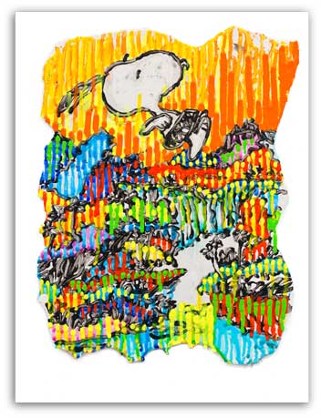 Tom Everhart Super Fly - Fall / Autumn